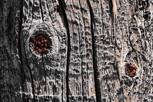 Knotty Pole_15884.jpg - Photographed at Smiths Falls, Ontario, Canada.